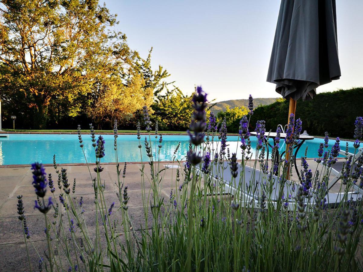 Agriturismo Grecinella Casole dʼElsa Eksteriør bilde
