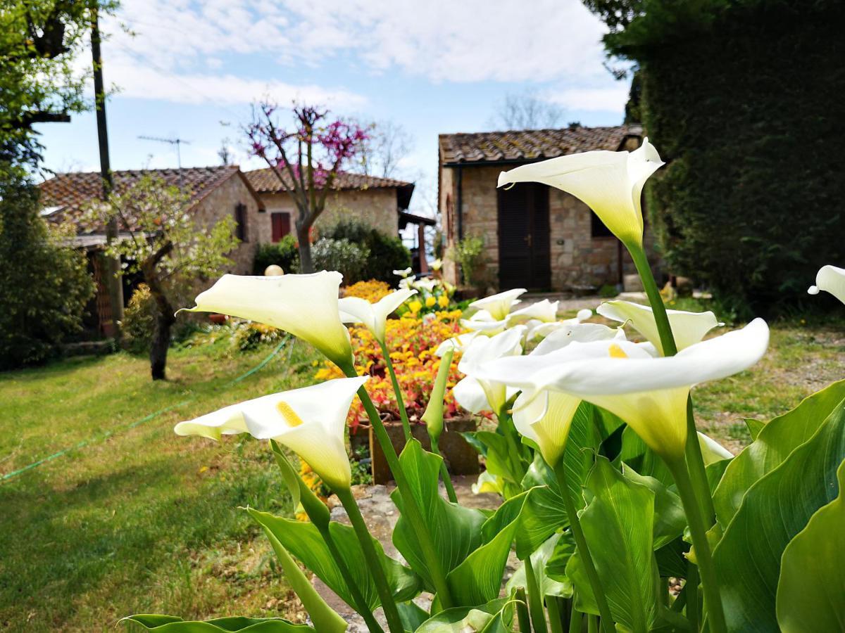 Agriturismo Grecinella Casole dʼElsa Eksteriør bilde