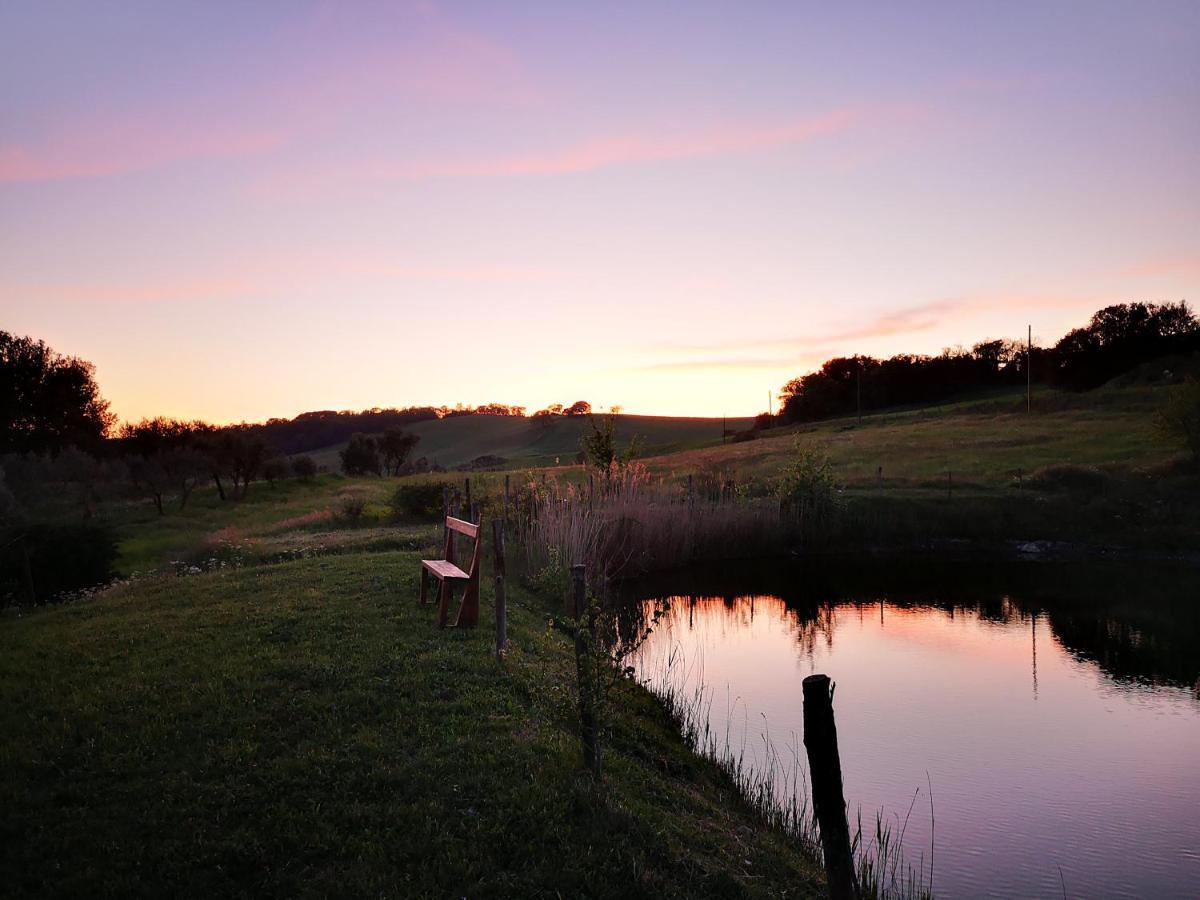 Agriturismo Grecinella Casole dʼElsa Eksteriør bilde